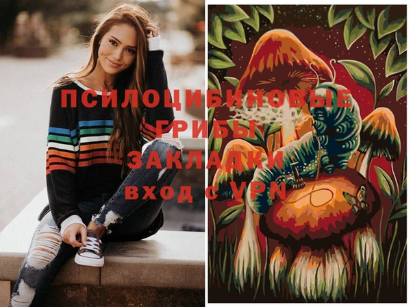 твердый Лабытнанги