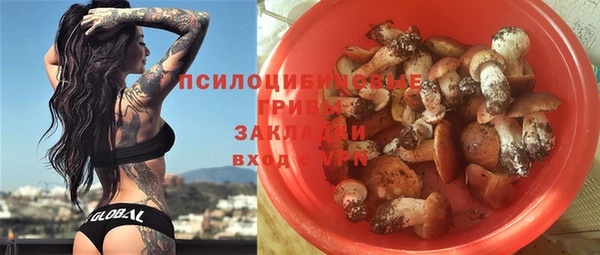 МДПВ Лагань