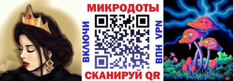 Галлюциногенные грибы Cubensis  Новосокольники 