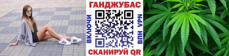 Бошки марихуана THC 21%  Новосокольники 